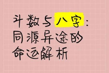 探寻1997丙子鼠的命运：命理与个性解析