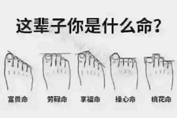 探索2020年出生孩子的命运:他们的未来与潜力 探索2020年出生孩子的命运:他们的未来与潜力