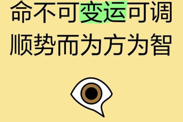 1999年正月十六的命运与启示:寻找生命的奥秘与智慧 1999年正月十六的命运与启示:寻找生命的奥秘与智慧