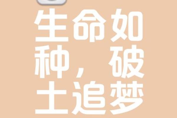 三尺微命:在平凡中寻找生命的意义与价值 三尺微命:在平凡中寻找生命的意义与价值