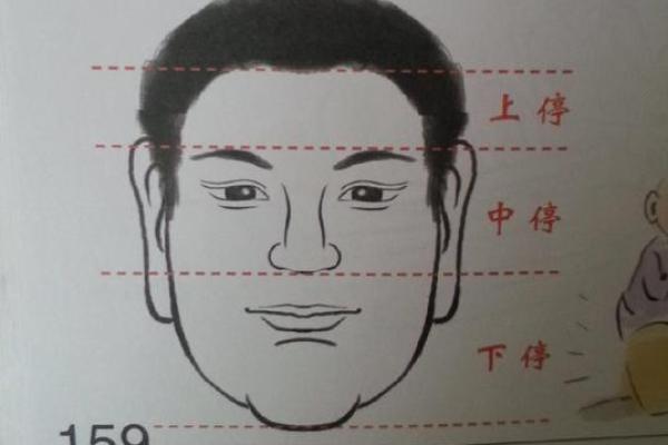 揭开数字的奥秘：透视2003年出生者的人生命运与性格特征