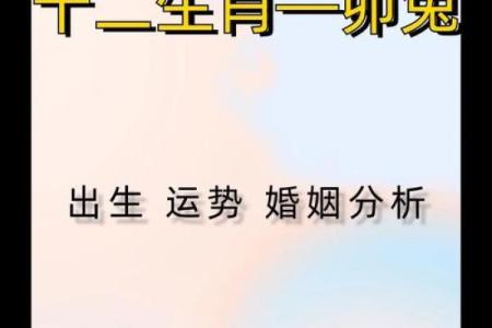 兔宝宝命理解析：如何让新生儿拥有一个好命运