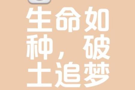 三尺微命：在平凡中寻找生命的意义与价值