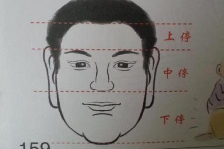 揭开数字的奥秘：透视2003年出生者的人生命运与性格特征