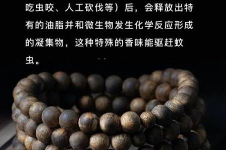 木命人的最佳佩戴选择：提升运势与气场的神秘之道