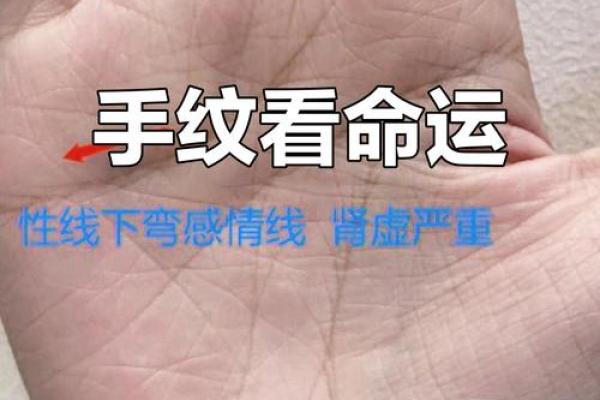 通过五条手纹解析男生命运:每个细节都藏着未来的秘密 通过五条手纹解析男生命运:每个细节都藏着未来的秘密