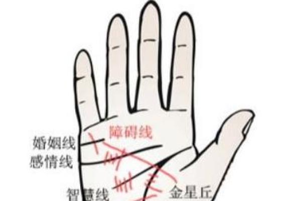 通过五条手纹解析男生命运:每个细节都藏着未来的秘密 通过五条手纹解析男生命运:每个细节都藏着未来的秘密