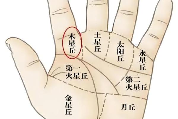 掌纹揭示:樱桃型手掌的命运与性格解析 掌纹揭示:樱桃型手掌的命运与性格解析