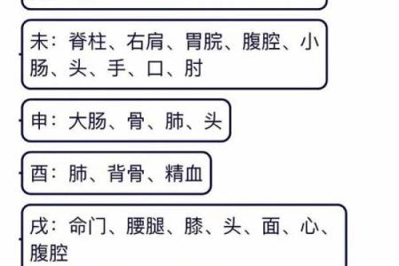 女命中事业财运的关系与影响解析