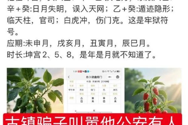 命理解析：为何“干”字适合成为法官的职业选择