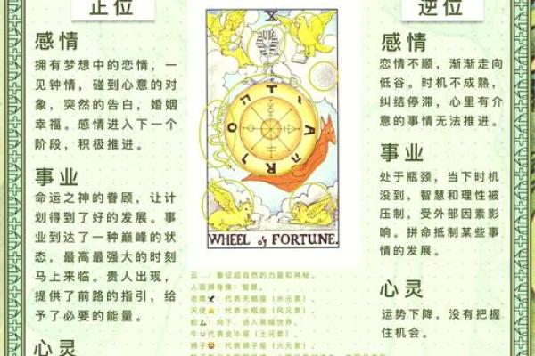 探索命运的奥秘：看看我是什么命的特效运用