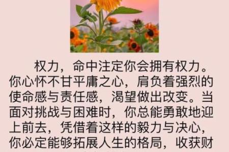 学命理，快速掌握命运的秘密与技巧