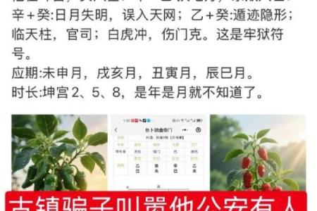 命理解析：为何“干”字适合成为法官的职业选择