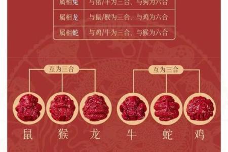 2017属鸡的命格解析与人生运势探讨