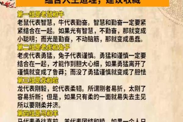 113岁属什么生肖命？揭开生肖背后的秘密与智慧！