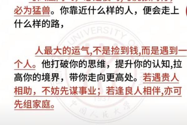 命运与机遇的博弈：走进成语“命什么西”的深意