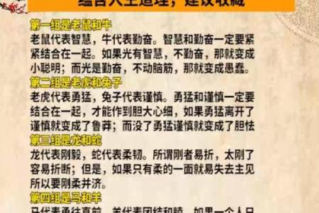 113岁属什么生肖命？揭开生肖背后的秘密与智慧！