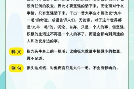 命运与机遇的博弈：走进成语“命什么西”的深意