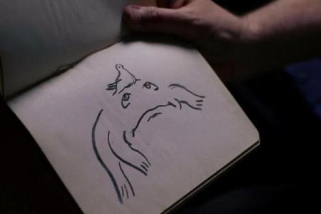 睫毛长白毛的秘密：揭示命运的独特符号