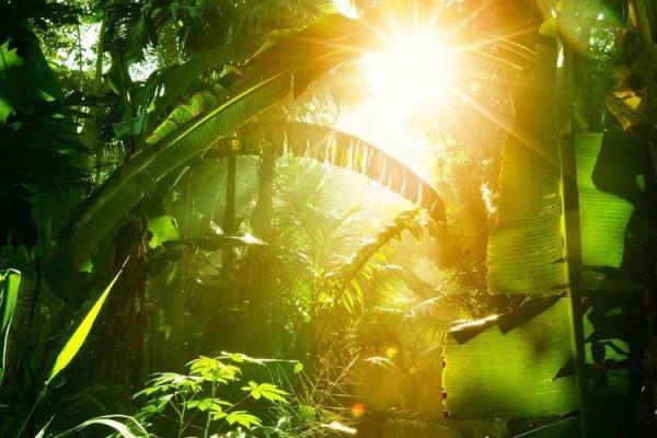 天天捡银子:探讨这命运背后的含义与人生哲学 天天捡银子:探讨这命运背后的含义与人生哲学