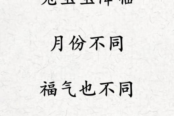 2023年兔宝宝命理解析：缺什么、补什么，让兔宝宝茁壮成长！