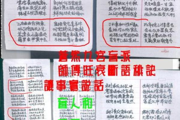 盲人算命的智慧：如何通过命理为人生导航