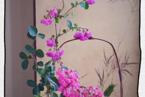 探讨紫薇命运：为何紫薇命总被认为不好运？