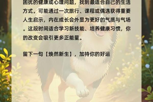 属狗人适合的幸运命理与生活指南：发现你的命运之钥