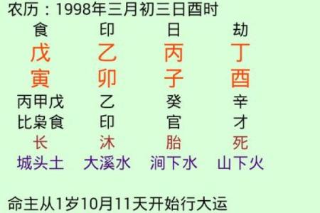 揭秘童子命的起源：母亲的五行与命运的交织