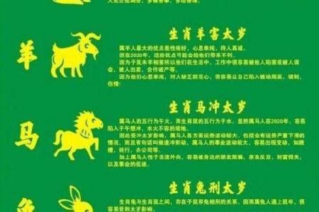 2020鼠年男宝宝命运解析：命理与性格的完美结合