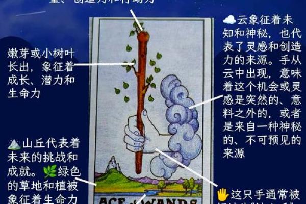 解密命带弓箭:探寻命理中的神秘象征与人生指引 解密命带弓箭:探寻命理中的神秘象征与人生指引