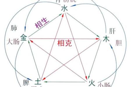 水命之人最忌的五种组合，解读水命性格与相克相合的奥秘