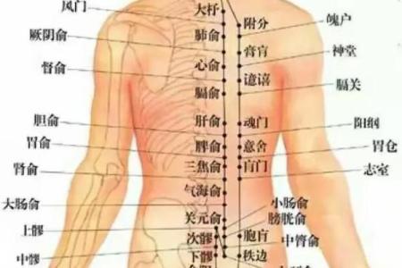 男人屁股肉少的背后：身体与命运的奇妙联系