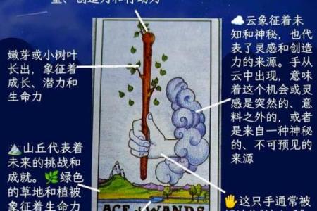 解密命带弓箭：探寻命理中的神秘象征与人生指引