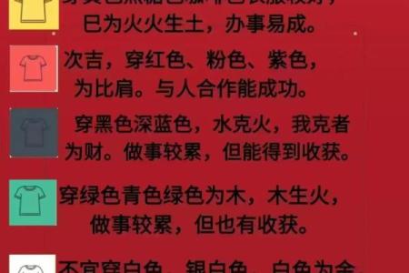 属鸡的火命：五行缺失的奇妙探寻与生命之光