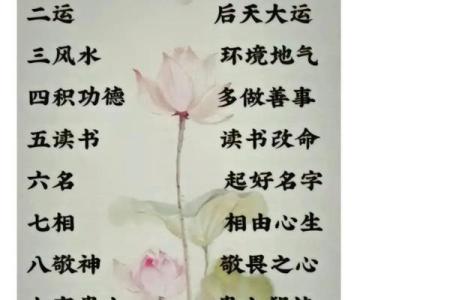 水命与木命：适合追求的事业与发展方向