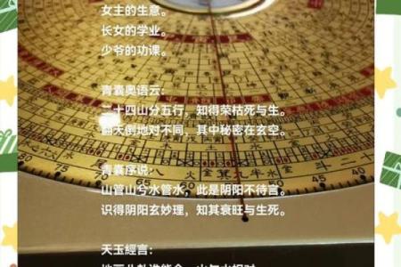 己卯命的最佳埋藏位置解析：如何做到风水与运势的完美结合