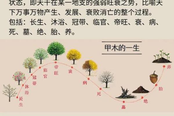 命理探秘：从名字到人生的深刻联系