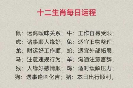 探索猪年9月24日出生的命理特点与人生运势