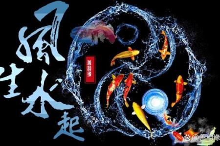 金命的人适合的图案与风水布局探秘