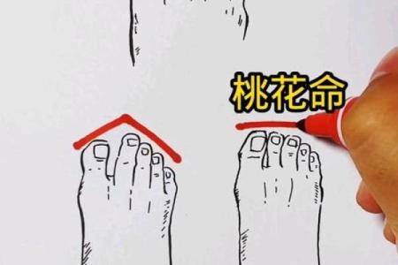 哪个脚趾长，预示你的命运走向？揭开指脚之谜！