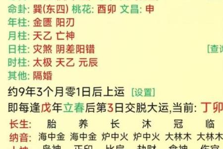 探索甲子克丙寅命格的深意与人生启示