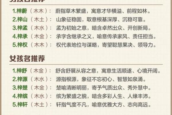 取名指南：如何为命理缺木之人选择合适的名字
