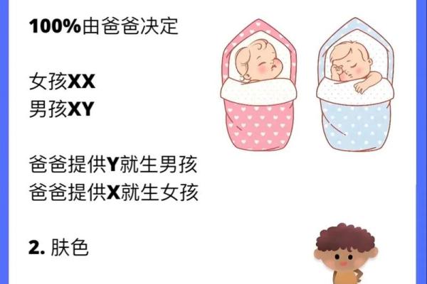 2014年出生的孩子，他们的命运与性格特点解析！