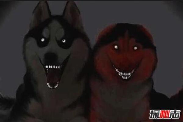 狗媳妇的老公命运探秘：从生活琐事到人生哲理的精彩演绎