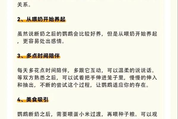 通过命理解析,如何养鹦鹉带你走向财富之路! 通过命理解析,如何养鹦鹉带你走向财富之路!