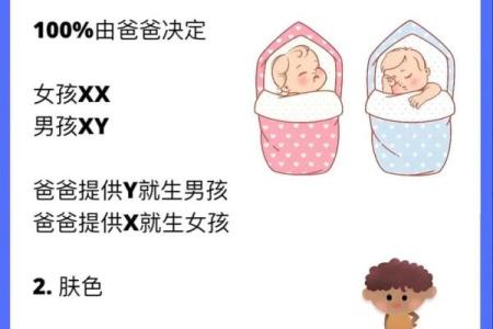 2014年出生的孩子，他们的命运与性格特点解析！