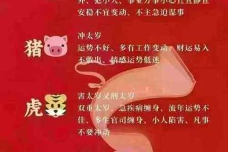 太岁冲命的深层解析：当命运遭遇挑战，你准备好了吗？