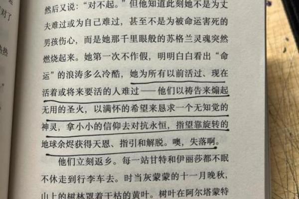 年轻丧父的命运：在困境中寻找生命的意义与希望