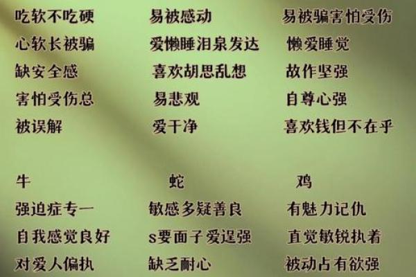 1958年出生的生肖与命运解读：探寻人生的秘密与方向